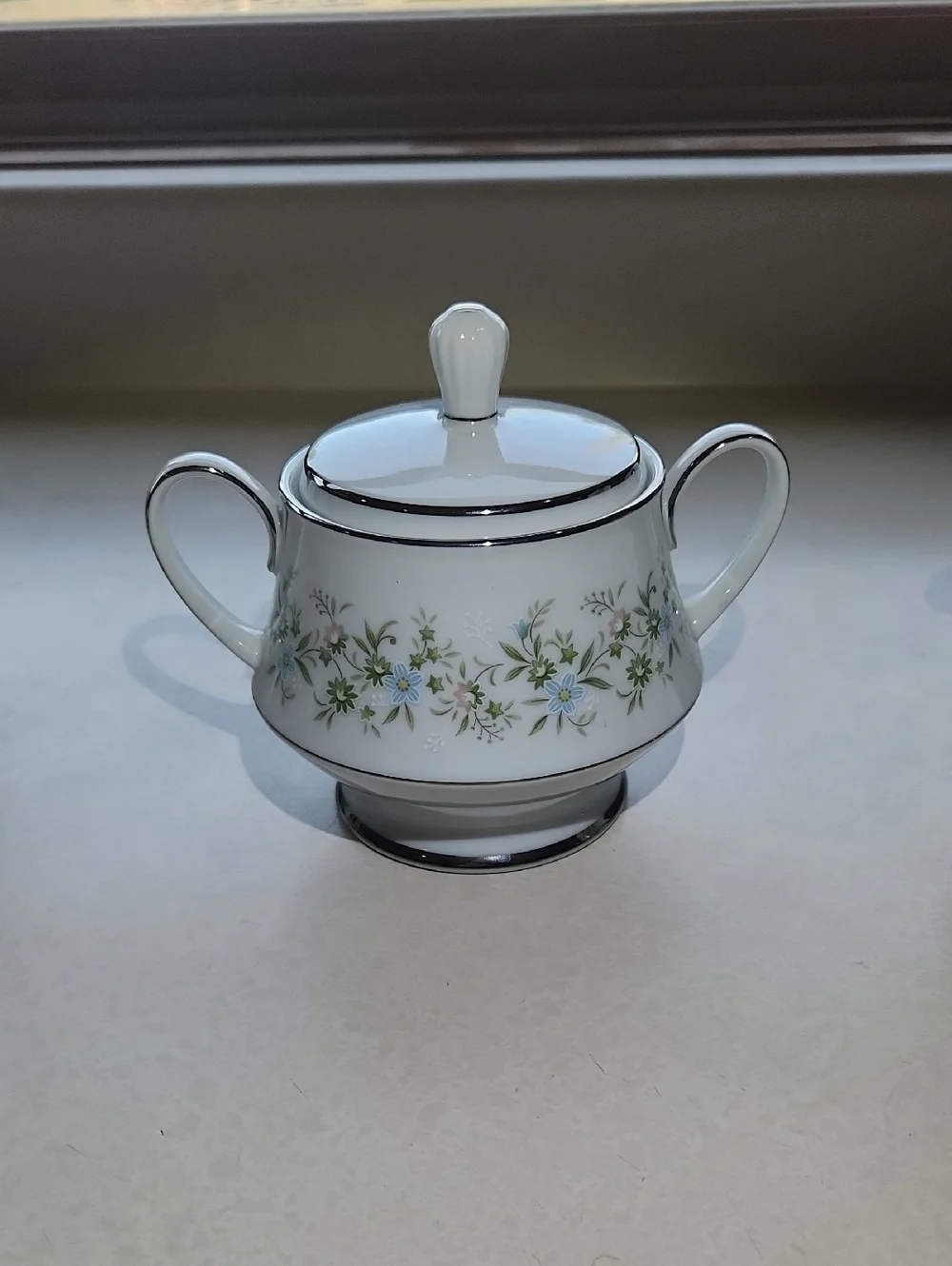 Vintage Noritake Savannah Pattern Made In Japan With Platinum Rim